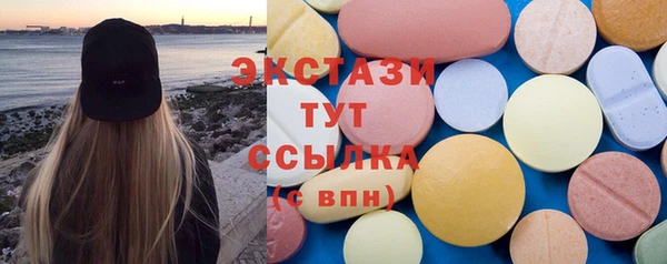 индика Козельск