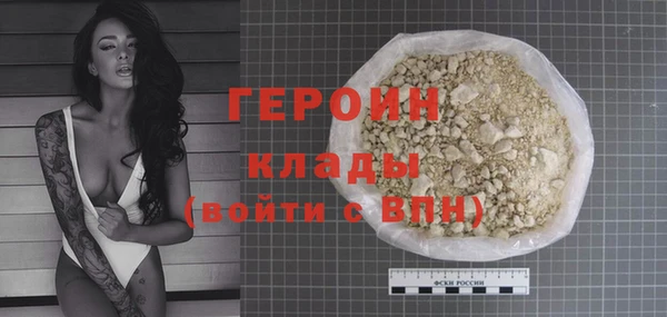 индика Козельск
