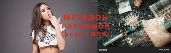индика Козельск