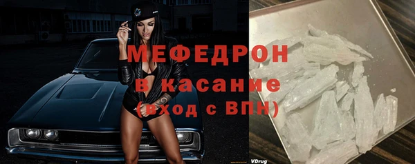 индика Козельск