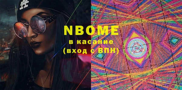 индика Козельск