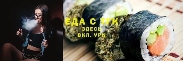 индика Козельск