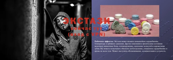 индика Козельск