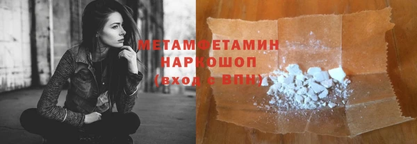 индика Козельск
