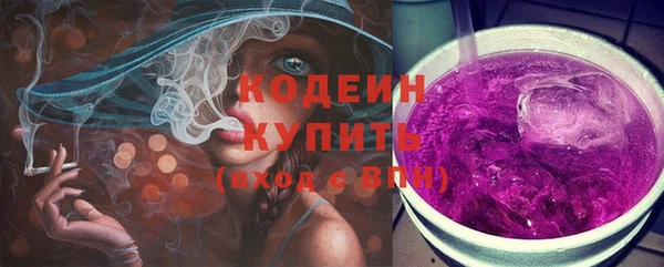 индика Козельск