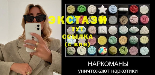 индика Козельск