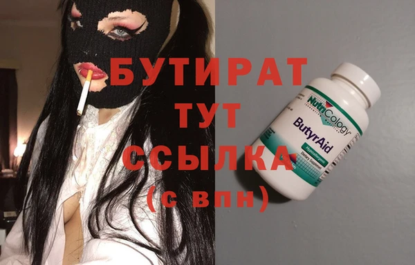 индика Козельск