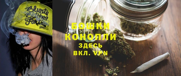индика Козельск