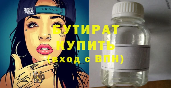 индика Козельск