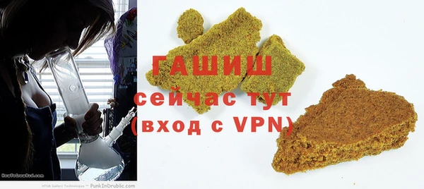 индика Козельск