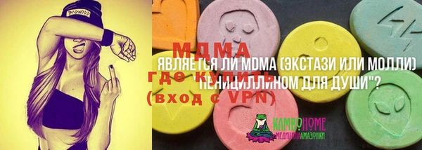 индика Козельск