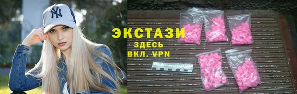 индика Козельск