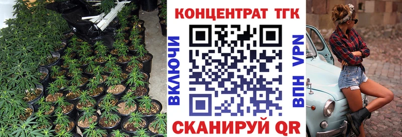 Купить где  Губкинский  ТГК THC oil 