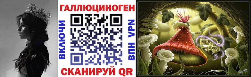 Галлюциногенные грибы мицелий  Купить где  Губкинский 